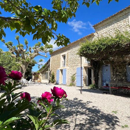Appartamento Mas De L'Estiou Monteux Esterno foto