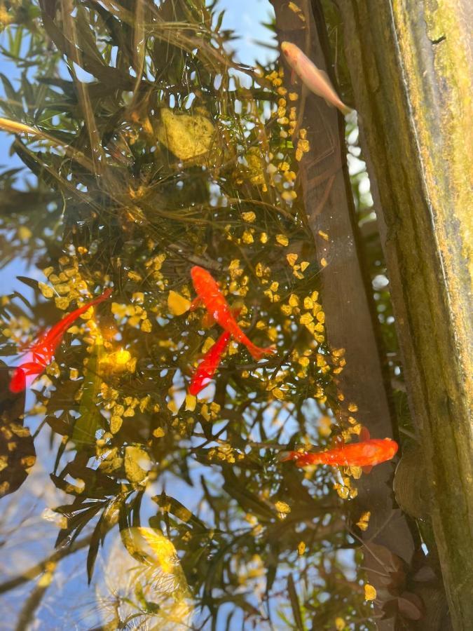 Appartamento Mas De L'Estiou Monteux Esterno foto