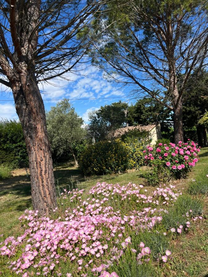 Appartamento Mas De L'Estiou Monteux Esterno foto