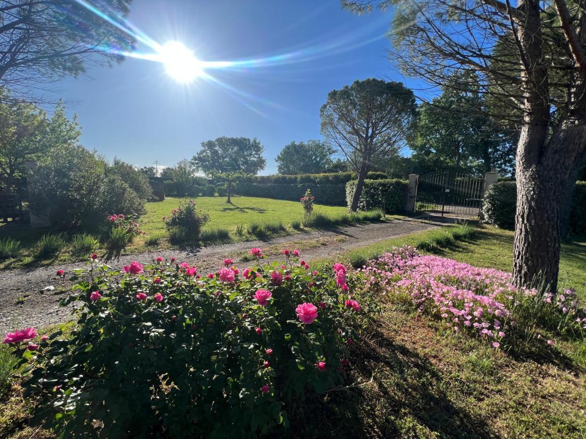 Appartamento Mas De L'Estiou Monteux Esterno foto