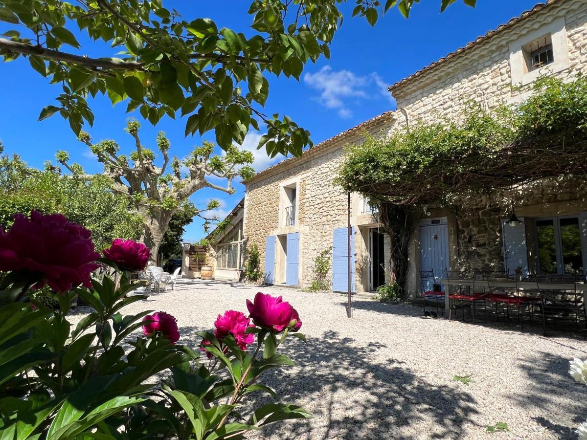 Appartamento Mas De L'Estiou Monteux Esterno foto